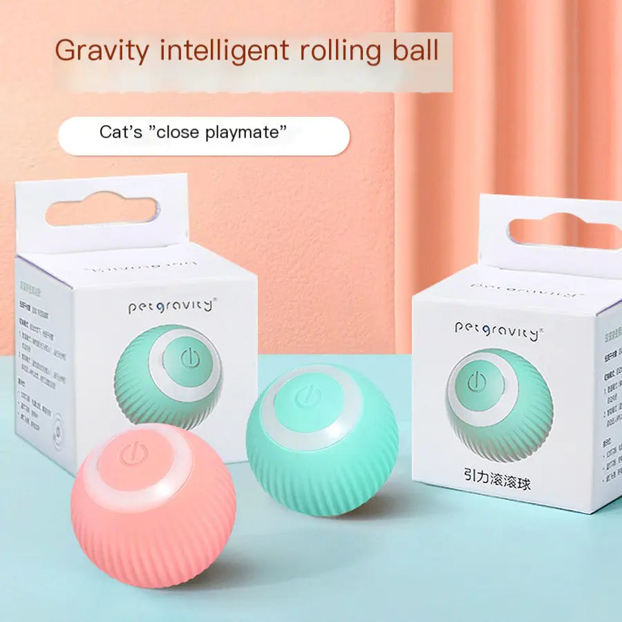 Robot Feline Fun Ball