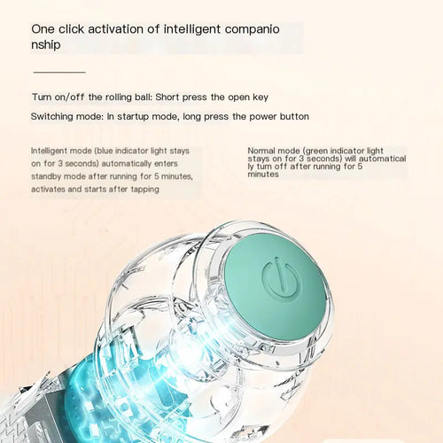 Robot Feline Fun Ball